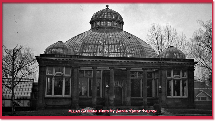 Allan Gardens photo by James Victor Salmon